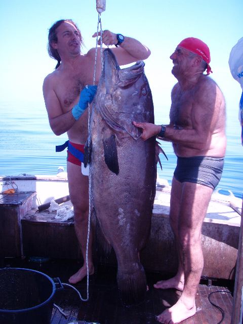 2007 epinephelus caninus 36lt.JPG